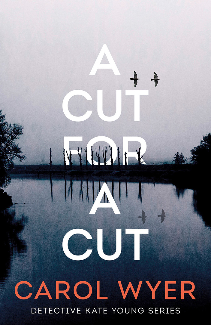 Book cover: A Cut For a Cut